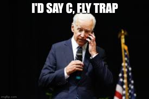 Joe Biden on the phone | I'D SAY C, FLY TRAP | image tagged in joe biden on the phone | made w/ Imgflip meme maker