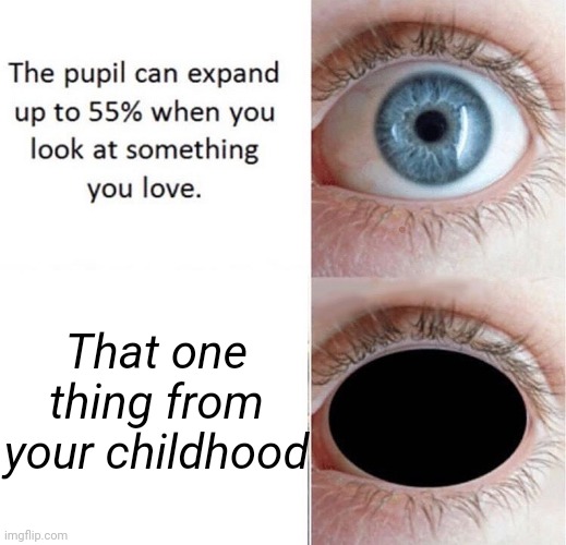 Pupil | That one thing from your childhood | image tagged in pupil,childhood | made w/ Imgflip meme maker