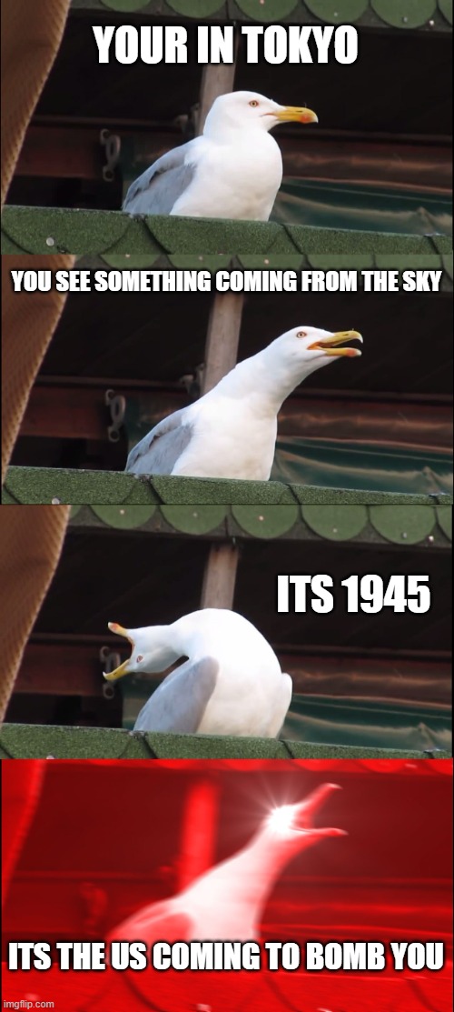 no title | YOUR IN TOKYO; YOU SEE SOMETHING COMING FROM THE SKY; ITS 1945; ITS THE US COMING TO BOMB YOU | image tagged in memes,inhaling seagull | made w/ Imgflip meme maker