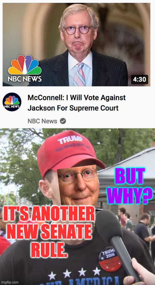 It's tradition to vote against everything. | IT'S ANOTHER
NEW SENATE
RULE. BUT WHY? | image tagged in trump supporter,memes,mitch mcconnell,new rule | made w/ Imgflip meme maker