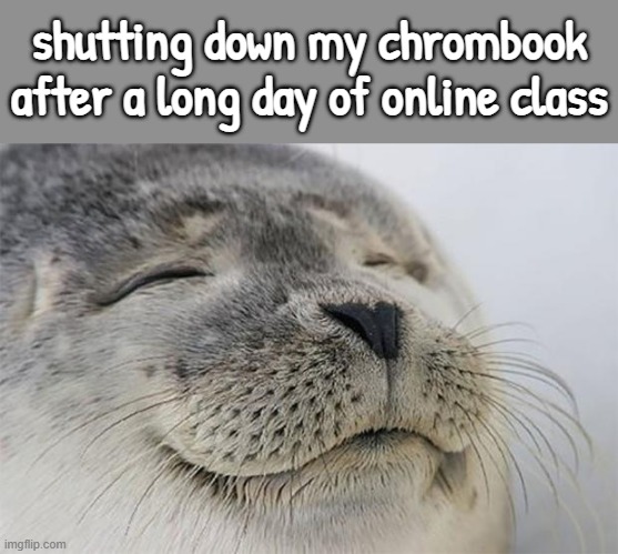 "that feeling" | shutting down my chrombook after a long day of online class | image tagged in memes,satisfied seal,is this a pigeon | made w/ Imgflip meme maker