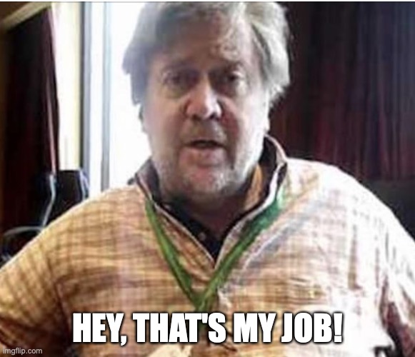 President Steve Bannon | HEY, THAT'S MY JOB! | image tagged in president steve bannon | made w/ Imgflip meme maker