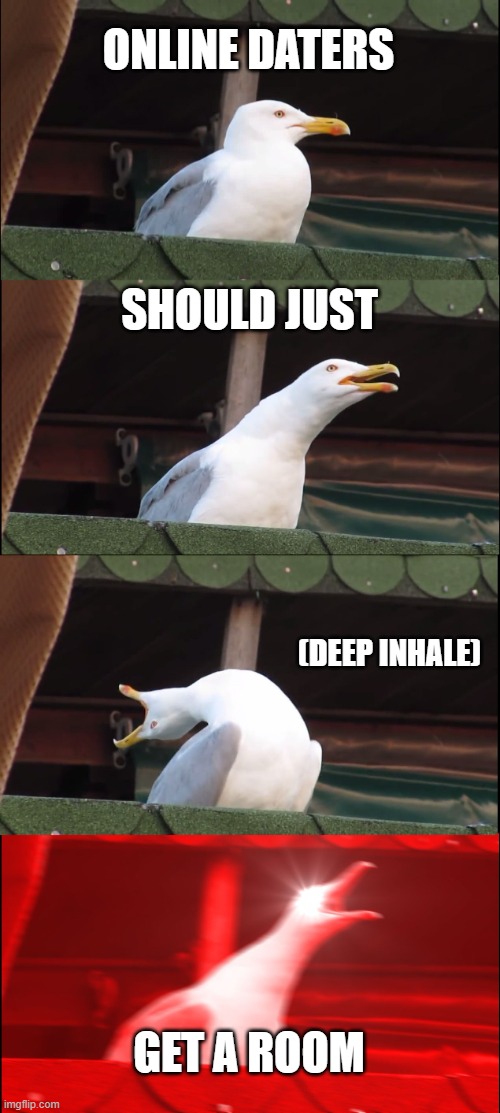 get a room people | ONLINE DATERS; SHOULD JUST; (DEEP INHALE); GET A ROOM | image tagged in memes,inhaling seagull,relatable memes | made w/ Imgflip meme maker