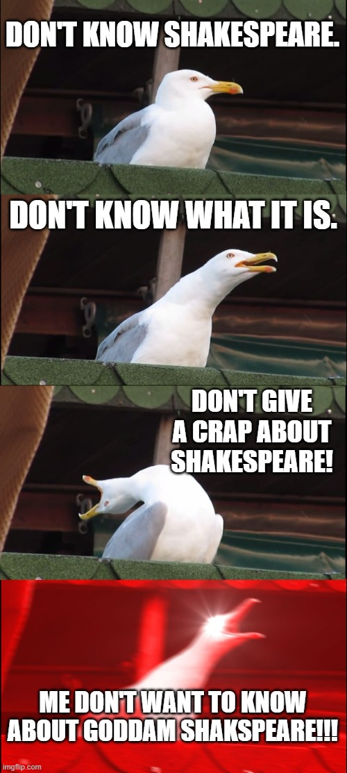 Shakespeare | DON'T KNOW SHAKESPEARE. DON'T KNOW WHAT IT IS. DON'T GIVE A CRAP ABOUT SHAKESPEARE! ME DON'T WANT TO KNOW ABOUT GODDAM SHAKSPEARE!!! | image tagged in memes,inhaling seagull | made w/ Imgflip meme maker