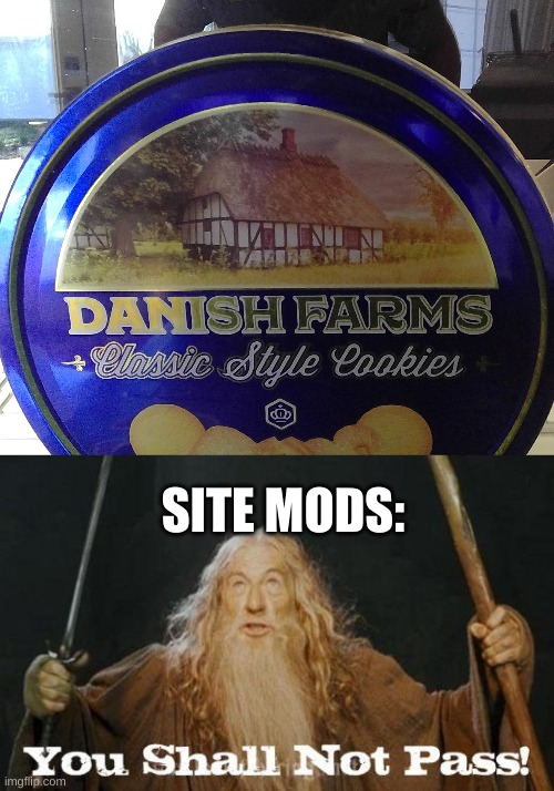 SITE MODS: | image tagged in gandalf you shall not pass | made w/ Imgflip meme maker