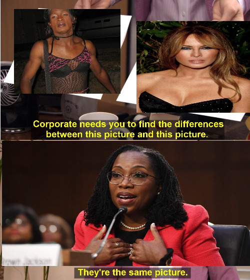 They're The Same Picture | image tagged in memes,they're the same picture,melania trump,transgender,ketanji brown jackson | made w/ Imgflip meme maker