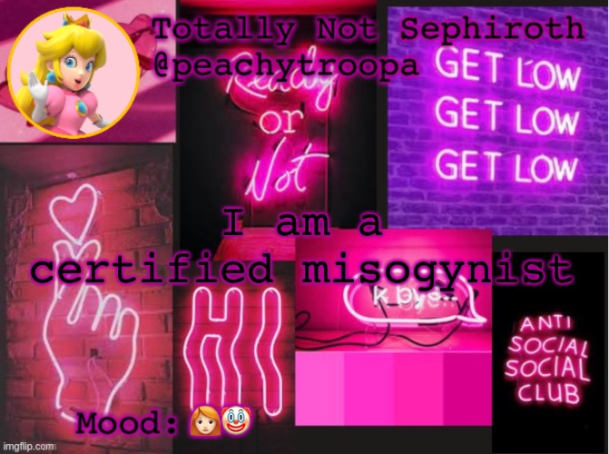 Princess Peach Aesthetic Mood Temp (thx Lily) | I am a certified misogynist; 👩🏻‍🦰🤡 | image tagged in princess peach aesthetic mood temp thx lily | made w/ Imgflip meme maker