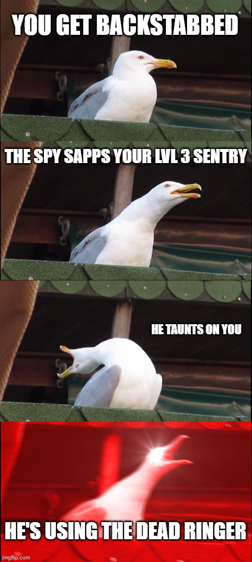 The doom of an engineer | YOU GET BACKSTABBED; THE SPY SAPPS YOUR LVL 3 SENTRY; HE TAUNTS ON YOU; HE'S USING THE DEAD RINGER | image tagged in memes,inhaling seagull,team fortress 2 | made w/ Imgflip meme maker