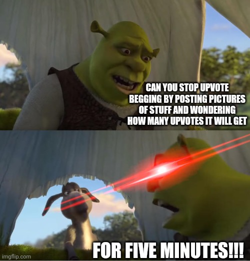 Just stop! | CAN YOU STOP UPVOTE BEGGING BY POSTING PICTURES OF STUFF AND WONDERING HOW MANY UPVOTES IT WILL GET; FOR FIVE MINUTES!!! | image tagged in shrek for five minutes,upvote begging,funny,memes,funny memes | made w/ Imgflip meme maker