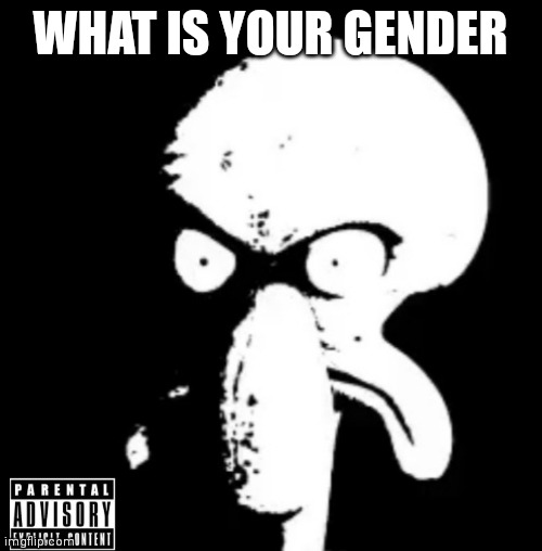Yes(mod note:mine is yes) | WHAT IS YOUR GENDER | image tagged in yes | made w/ Imgflip meme maker