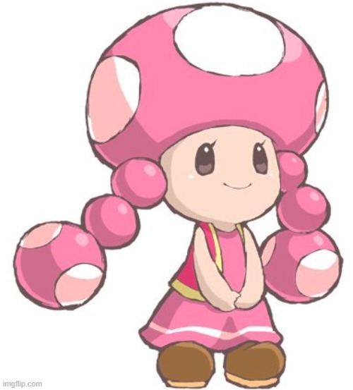 Toadette review: 8/10. kinda wongle. seems like a respectable member of society | made w/ Imgflip meme maker