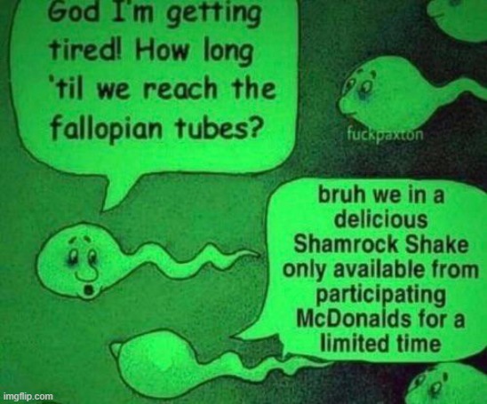 fallopian tubes | made w/ Imgflip meme maker