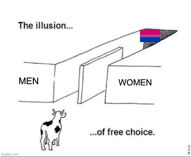 Unless you’re bi yourself? | WOMEN; MEN | image tagged in illusion of free choice | made w/ Imgflip meme maker