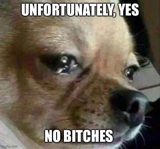 UNFORTUNATELY, YES; NO BITCHES | made w/ Imgflip meme maker