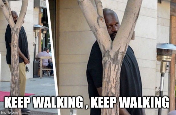 Shaq hiding | KEEP WALKING , KEEP WALKING | image tagged in shaq hiding | made w/ Imgflip meme maker