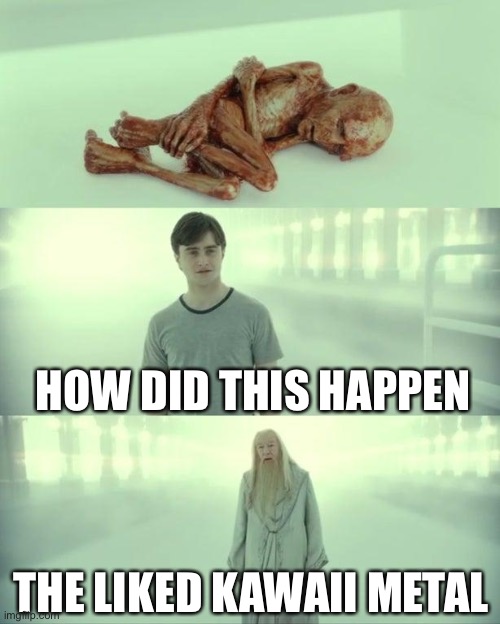 Dead Baby Voldemort / What Happened To Him | HOW DID THIS HAPPEN; THE LIKED KAWAII METAL | image tagged in dead baby voldemort / what happened to him | made w/ Imgflip meme maker
