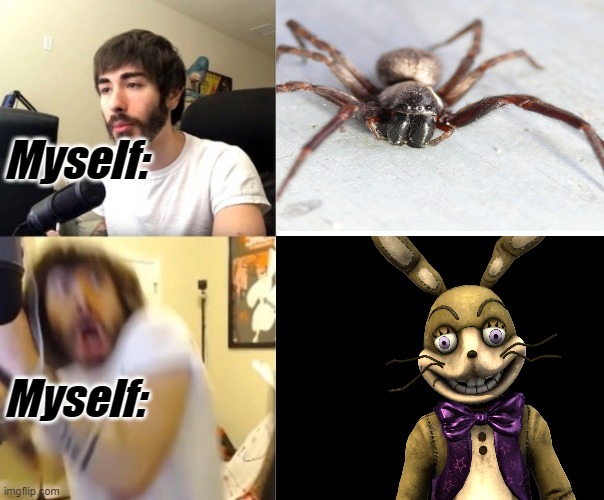 What I'm scared of | Myself:; Myself: | image tagged in fnaf,glitchtrap,scared | made w/ Imgflip meme maker