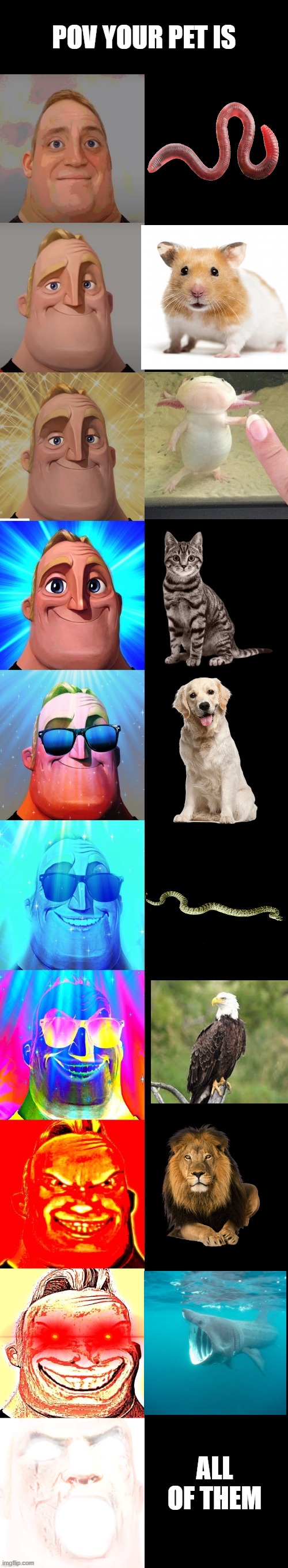 mr incredible becoming canny | POV YOUR PET IS; ALL OF THEM | image tagged in mr incredible becoming canny | made w/ Imgflip meme maker