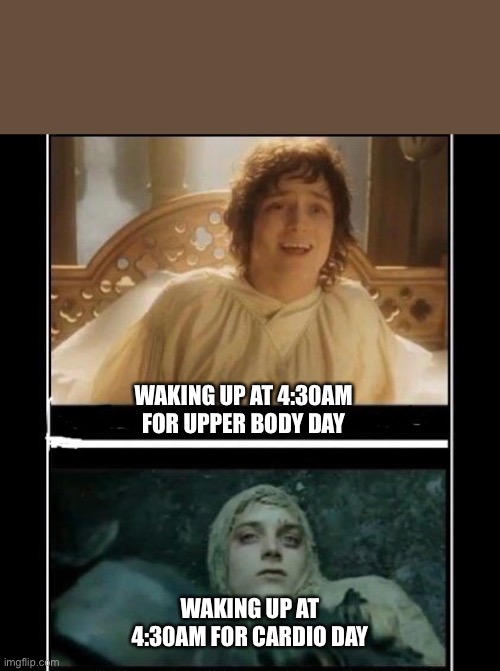 Frodo waking up | WAKING UP AT 4:30AM FOR UPPER BODY DAY; WAKING UP AT 4:30AM FOR CARDIO DAY | image tagged in lotr | made w/ Imgflip meme maker