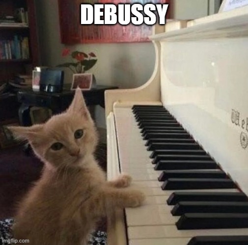 DEBUSSY | image tagged in cat | made w/ Imgflip meme maker