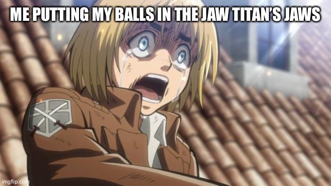Don’t say it | ME PUTTING MY BALLS IN THE JAW TITAN’S JAWS | image tagged in attack on titan | made w/ Imgflip meme maker