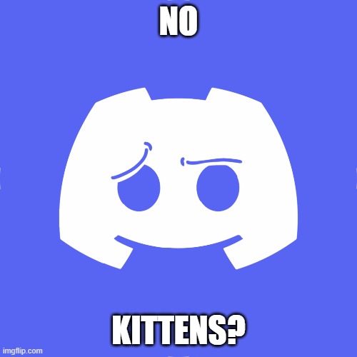 No discord kittens? | NO; KITTENS? | image tagged in jokes,memes,discord,kittens | made w/ Imgflip meme maker