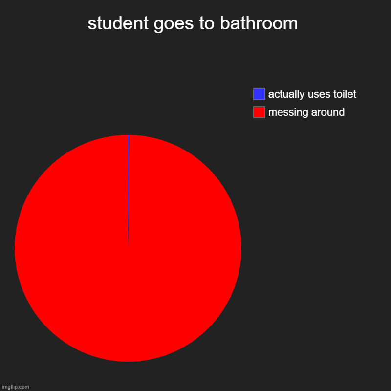 student goes to bathroom | messing around, actually uses toilet | image tagged in charts,pie charts | made w/ Imgflip chart maker