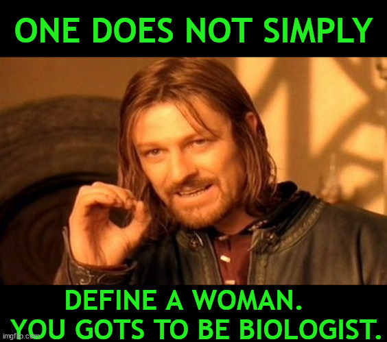 Define woman. | ONE DOES NOT SIMPLY; DEFINE A WOMAN.    YOU GOTS TO BE BIOLOGIST. | image tagged in ketanji,scotus,woman,biologist,gender | made w/ Imgflip meme maker