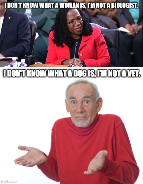 I don't know what America is, I'm not a geographer. | I DON'T KNOW WHAT A DOG IS, I'M NOT A VET. | image tagged in guess i'll die,funny,memes,politics | made w/ Imgflip meme maker