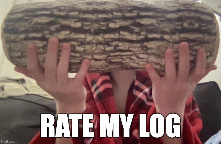 I would like you to rate my log or use It as a template | RATE MY LOG | image tagged in log,holding,hand,robe,blanket,holding with hand | made w/ Imgflip meme maker