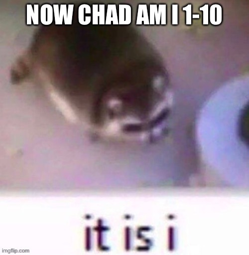 it is cinni | NOW CHAD AM I 1-10 | image tagged in it is cinni | made w/ Imgflip meme maker