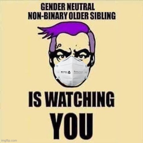 Big Sister/Brother is watching | image tagged in big brother,covid,government corruption | made w/ Imgflip meme maker