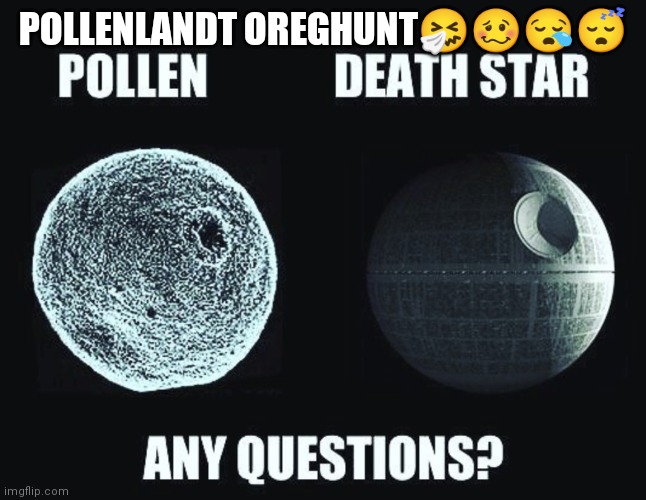 Pollen Ore | POLLENLANDT OREGHUNT🤧🥴😪😴 | image tagged in pollen,allergy | made w/ Imgflip meme maker