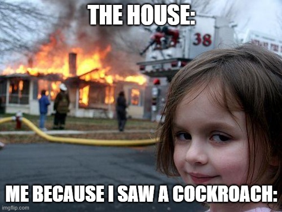 Disaster Girl | THE HOUSE:; ME BECAUSE I SAW A COCKROACH: | image tagged in memes,disaster girl | made w/ Imgflip meme maker