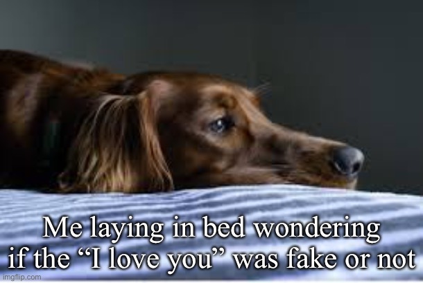 Lol | Me laying in bed wondering if the “I love you” was fake or not | image tagged in lol so funny,girlfriend,mental health | made w/ Imgflip meme maker