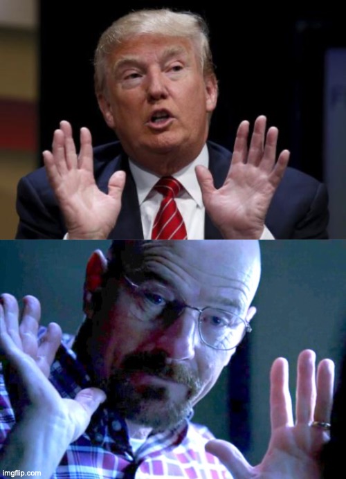 image tagged in trump hands up,walter you got me | made w/ Imgflip meme maker