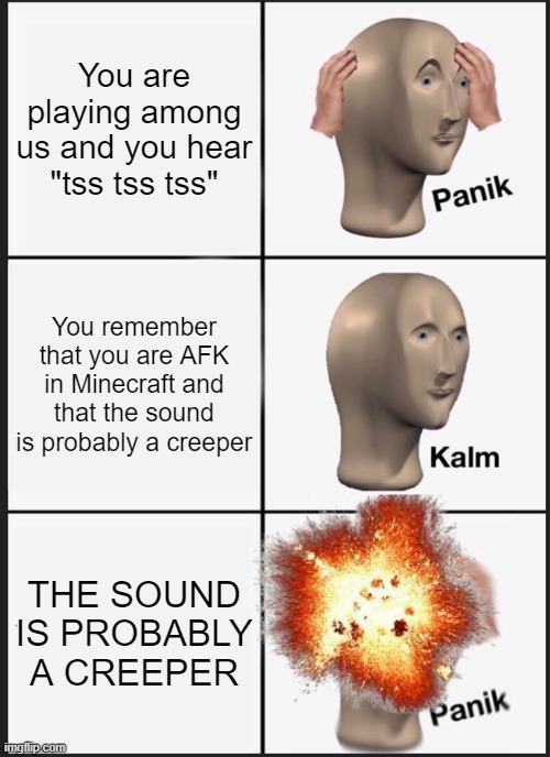 Why You Shouldn't AFK | You are playing among us and you hear "tss tss tss"; You remember that you are AFK in Minecraft and that the sound is probably a creeper; THE SOUND IS PROBABLY A CREEPER | image tagged in memes,panik kalm panik | made w/ Imgflip meme maker