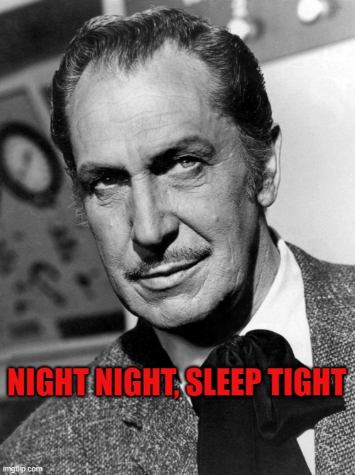 night night, sleep tight | NIGHT NIGHT, SLEEP TIGHT | image tagged in vincent price says | made w/ Imgflip meme maker