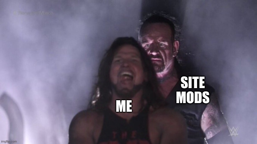 Specifically donald, andrew, OP, and Kate | SITE MODS; ME | image tagged in aj styles undertaker | made w/ Imgflip meme maker