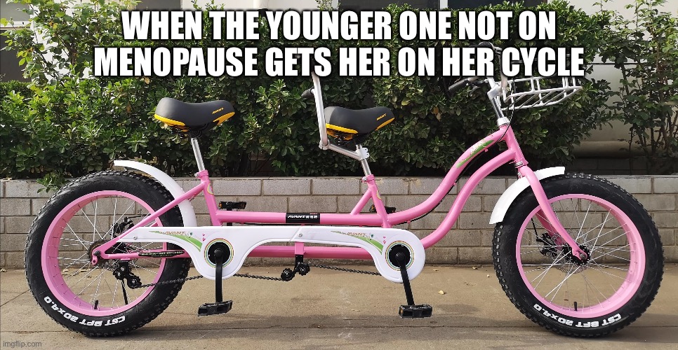 Pirelli | WHEN THE YOUNGER ONE NOT ON MENOPAUSE GETS HER ON HER CYCLE | image tagged in tires,woman,female,menopause | made w/ Imgflip meme maker