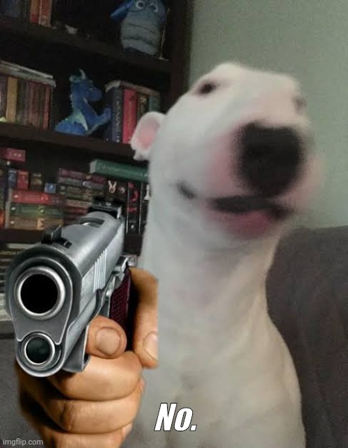 Walter holding gun | No. | image tagged in walter holding gun | made w/ Imgflip meme maker