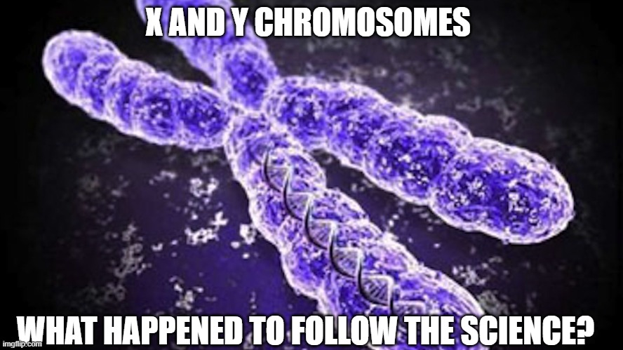 Chromosome | X AND Y CHROMOSOMES; WHAT HAPPENED TO FOLLOW THE SCIENCE? | image tagged in chromosome | made w/ Imgflip meme maker