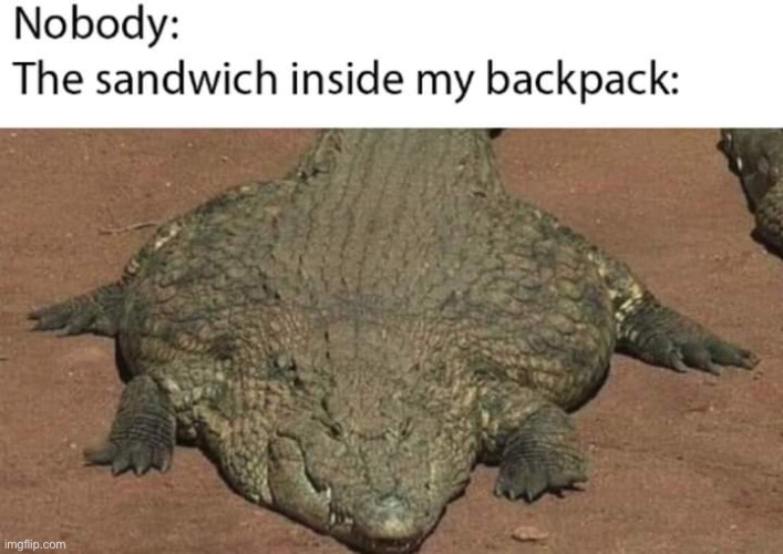 Flat | made w/ Imgflip meme maker