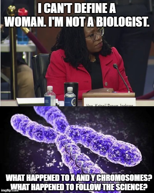 I CAN'T DEFINE A WOMAN. I'M NOT A BIOLOGIST. WHAT HAPPENED TO X AND Y CHROMOSOMES?
WHAT HAPPENED TO FOLLOW THE SCIENCE? | image tagged in chromosome | made w/ Imgflip meme maker