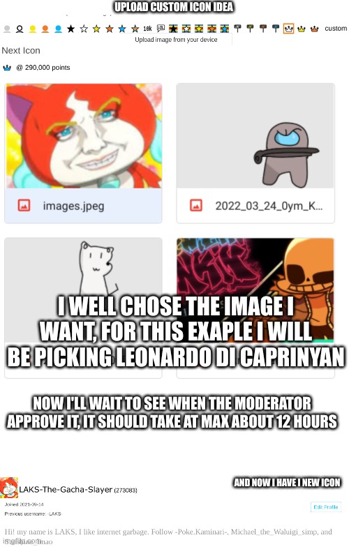 what do you think guys | UPLOAD CUSTOM ICON IDEA; I WELL CHOSE THE IMAGE I WANT, FOR THIS EXAPLE I WILL BE PICKING LEONARDO DI CAPRINYAN; NOW I'LL WAIT TO SEE WHEN THE MODERATOR APPROVE IT, IT SHOULD TAKE AT MAX ABOUT 12 HOURS; AND NOW I HAVE I NEW ICON | made w/ Imgflip meme maker