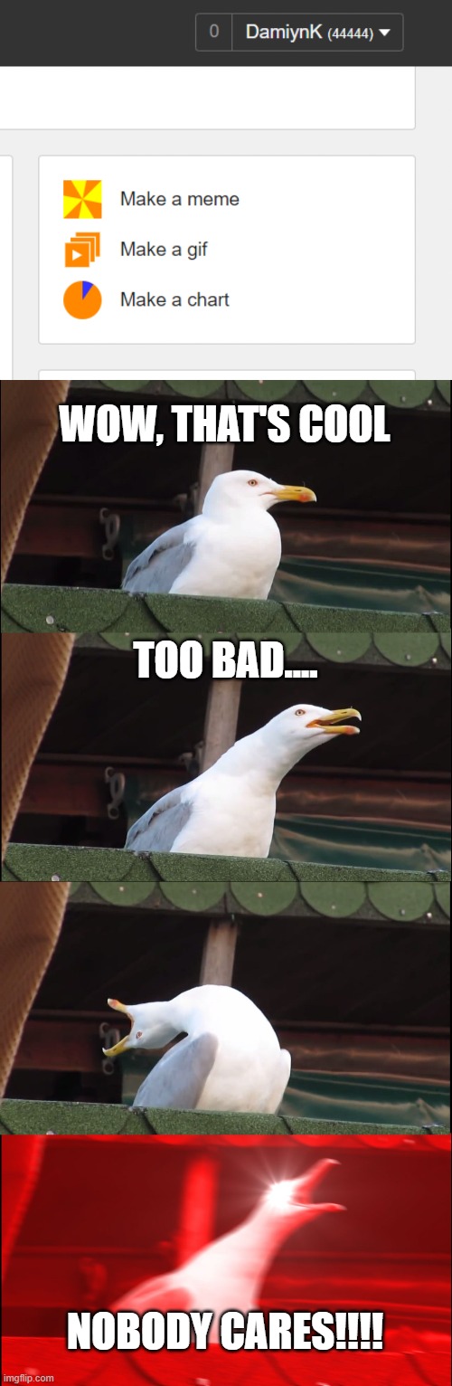I was bored XD | WOW, THAT'S COOL; TOO BAD.... NOBODY CARES!!!! | image tagged in memes,inhaling seagull,palindrome,bored | made w/ Imgflip meme maker