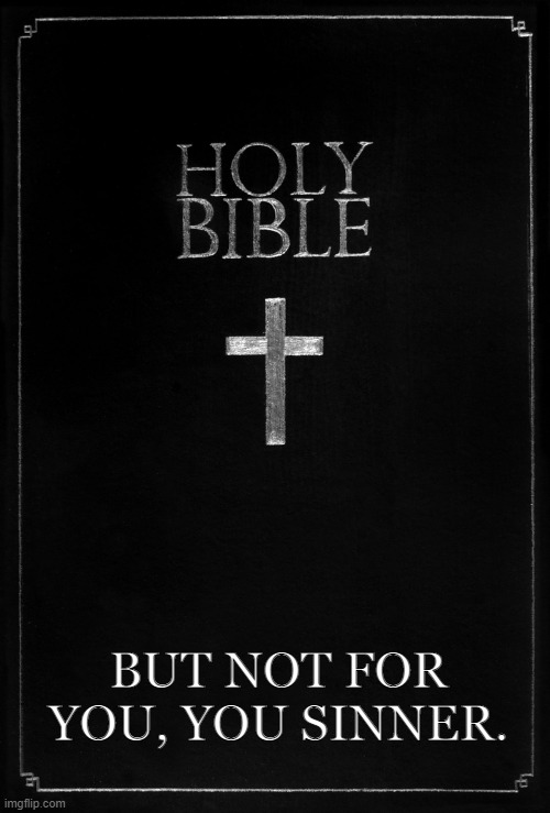 holy bible | BUT NOT FOR YOU, YOU SINNER. | image tagged in holy-bible | made w/ Imgflip meme maker