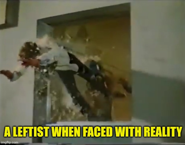 They'll literally do anything to not face up to it. | A LEFTIST WHEN FACED WITH REALITY | image tagged in reality,meet,democrats | made w/ Imgflip meme maker