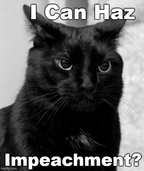 I Can Haz Impeachment? | I Can Haz; Impeachment? | image tagged in black cat pissed | made w/ Imgflip meme maker