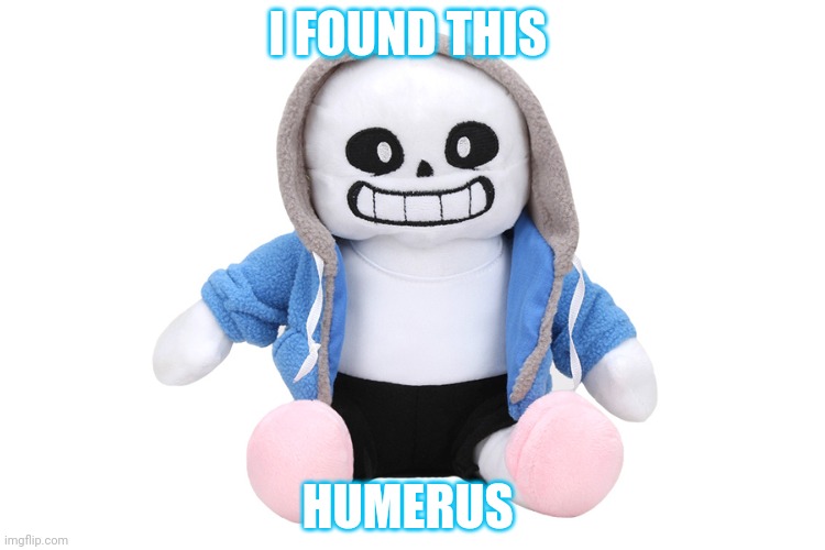 Get it? | I FOUND THIS HUMERUS | image tagged in sans undertale,sans,humorous,humerus,bone | made w/ Imgflip meme maker